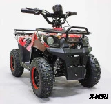 Квадроцикл GreenCamel Гоби K45 (36V 800W R6 Цепь) быстросъем, ножной тормоз