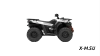 Квадроцикл Segway AT5 SХ