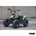 Электроквадроцикл детский SIMARGL ELEKTRO  Bug