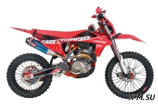 Эндуро / кроссовый мотоцикл BSE T9 Red Arrow  (TYX300SR)