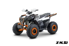 Квадроцикл FAIDET MAGOTAN 150