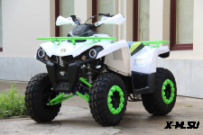Квадроцикл Iride ROVER 200
