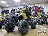 Квадроцикл PROMAX ATV 250 (2025)