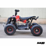 Электроквадроцикл детский SIMARGL ELEKTRO Renegade