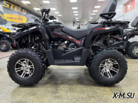 Квадроцикл PROMAX RENEGADE 300 LONG WINCH PRO (2025)