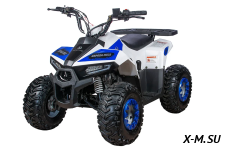Квадроцикл Yacota Raposa PRO-SPORT