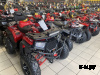 Квадроцикл GBM CROSS HILL 300 NEW PREMIUM Красно-черный