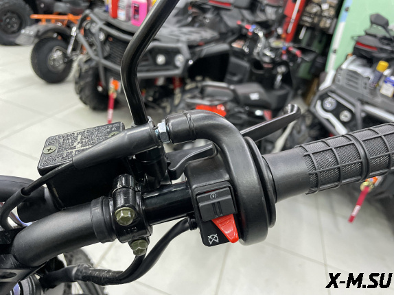 Мотоцикл Avantis LX 300 (CBS300/ZS174MN-3) ПТС АКЦИЯ