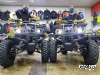 Квадроцикл PROMAX ATV 250 (2025)