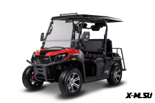 Мотовездеход (UTV/БАГГИ) AODES 300-10 Golf